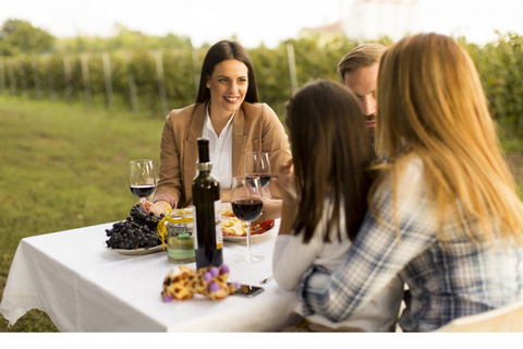 Z Florencji: wino na świeżym powietrzu w winnicy San Gimignano?Z Florencji: Lunch na świeżym powietrzu w winiarni San Gimignano