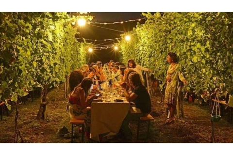 From Florence: Outdoor Wine Dining in San Gimignano Winery From Florence: Outdoor Wine Dinner in San Gimignano Winery