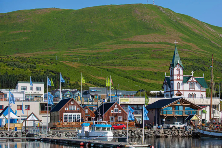 Akureyri Port: Small Group Diamond Circle Tour for Cruises