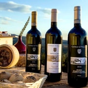 Toscana: bodega de San Gimignano con traslado desde Florencia