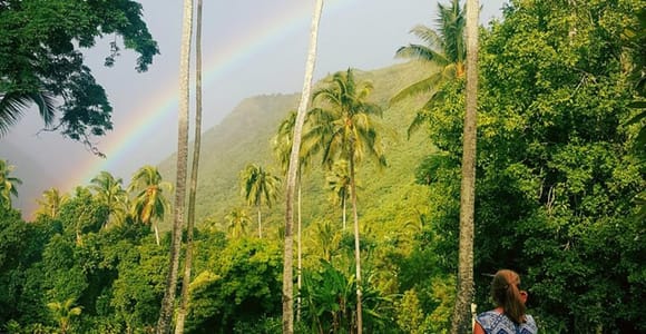 Tahiti: Unique Full Day West Coast, Combo Tour to Teahupoo