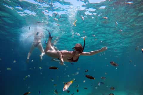 Ab Phuket: Tour mit Schnellboot Ko Phi Phi und Khai Islands