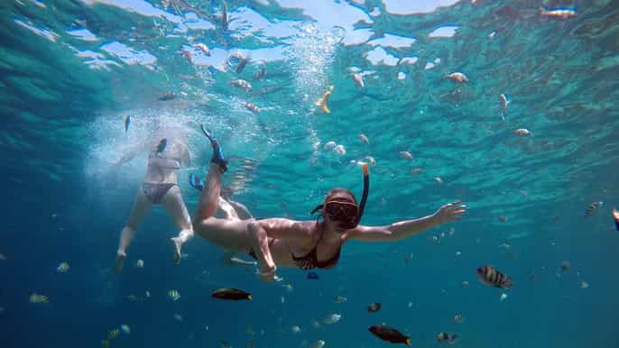 from phuket phi phi khai islands snorkeling by speedboat