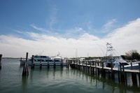 De NYC, Hamptons, Sag Harbor y Salida del día de compras - Housity