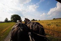Desde la ciudad de Nueva York, Filadelfia y Amish Tria del día del país - Housity