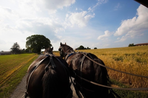 Vanuit New York: dagtour Philly & het land van de AmishVanuit New York: dagtour Philadelphia & Amish Country