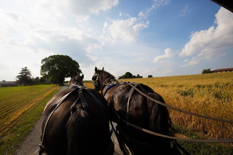 From New York City: Philadelphia and Amish Country Day Trip