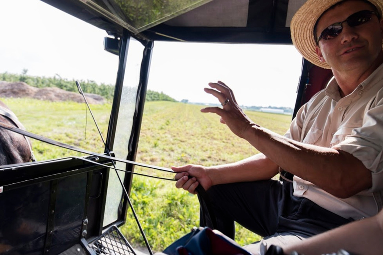 Filadelfia y región de los Amish, desde Nueva YorkFiladelfia y región de los Amish: Excursión de día desde NY