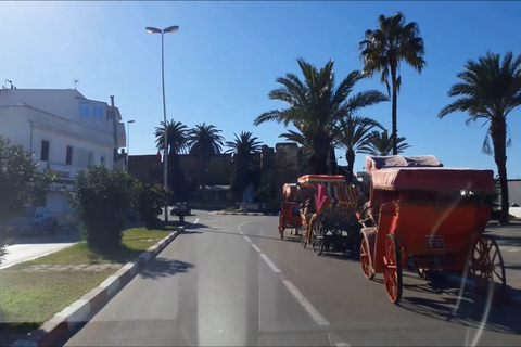 Asilah: excursion privée à terre depuis TangerAsilah Private Shore Excursion De Tanger