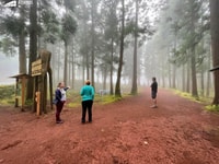 Terceira Island, Algar do Carvão - The Caves Tour - Housity