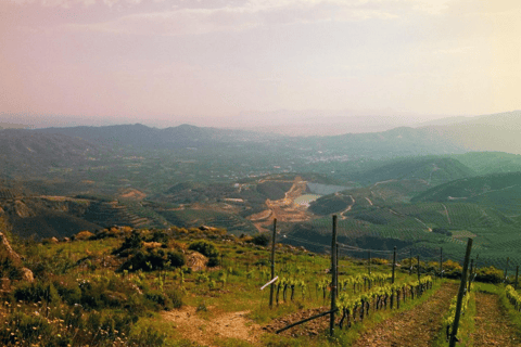 Chania Luxury Jeep Safaris : Secrets de dégustation de vin et d'huile d'oliveJeep Premium