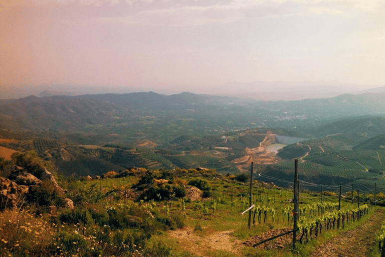 Safáris de luxo em jipe em Chania: Segredos da degustação de vinhos e azeite de olivajipe premium