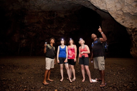 Nadi: fidżijskie safari w jaskini terenowej w Sigatoka