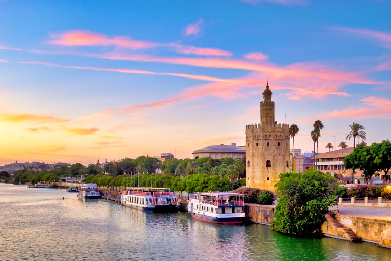 Málaga: 6-day sightseeing tour of Málaga, Seville, Córdoba, and Granada Private