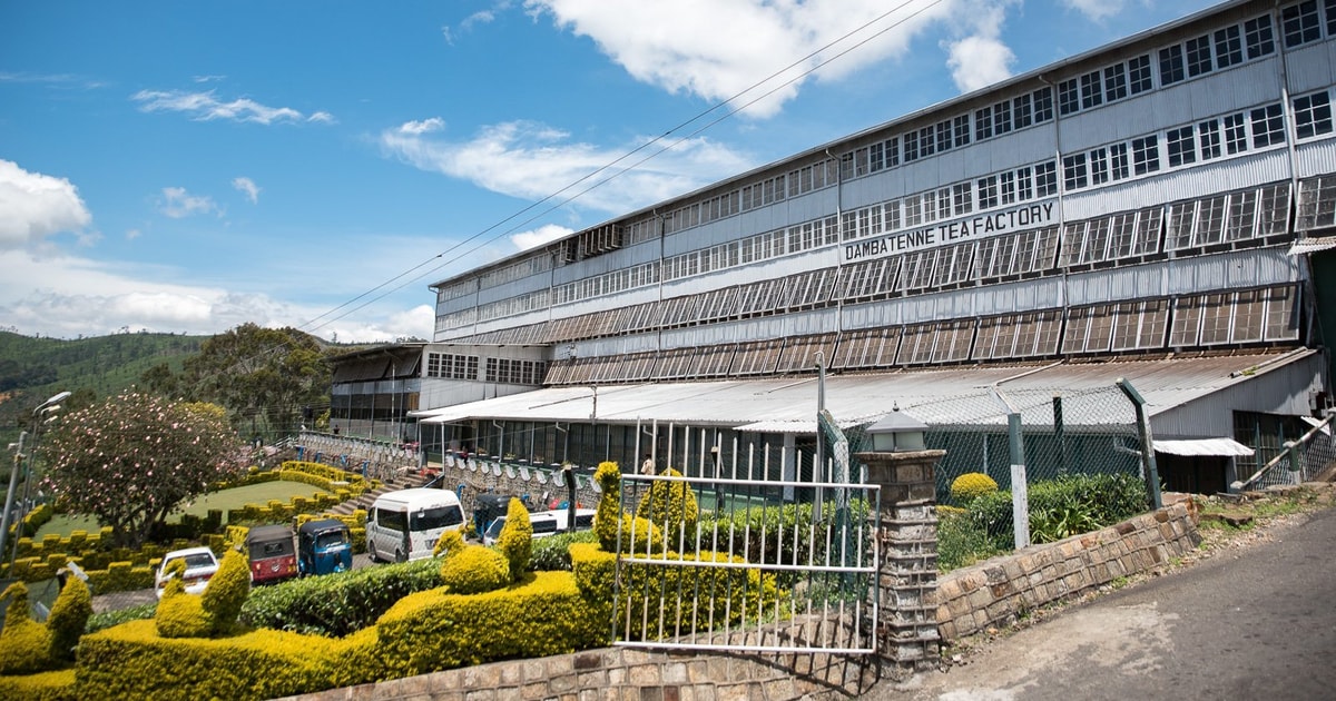 Ella：Dambetannaティーファクトリーを訪問したLiptonのシートツアー GetYourGuide