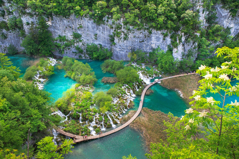 Ab Dubrovnik: Privattour zum Nationalpark Plitvicer SeenPrivattour Basis-Paket: Nationalpark Plitvicer Seen