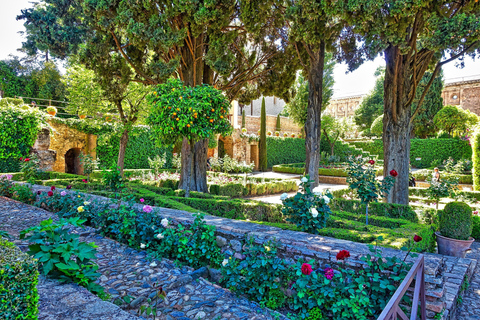 Alhambra's tuinen: Generalife, Partal, Alcazaba en Carlos VRondleiding in het Spaans