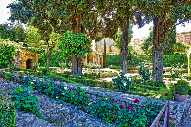 Alhambra's Gardens: Generalife, Partal, Alcazaba, & Carlos V Tour in Spanish