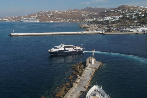 Desde Mykonos: Paseo en barco por la Playa Paraíso