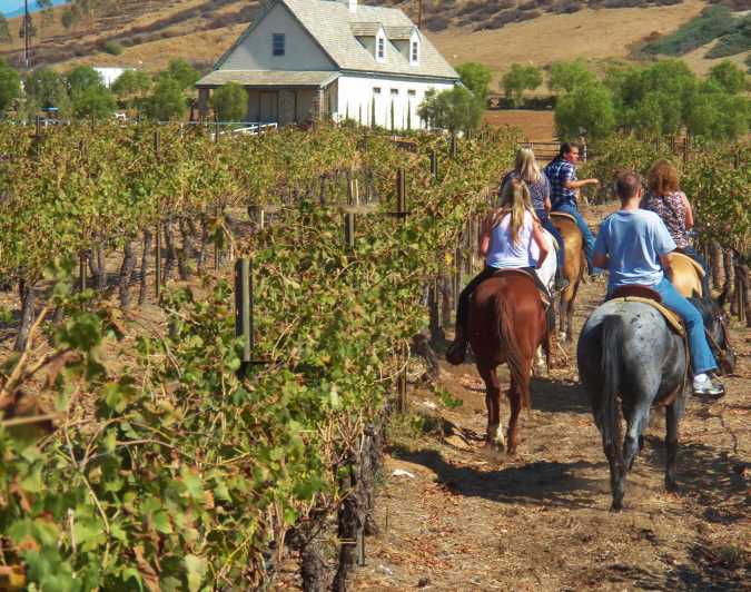 horse riding winery tour