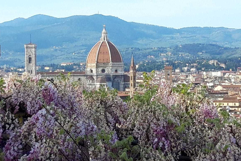 Florencia: visita guiada a piegira en ingles