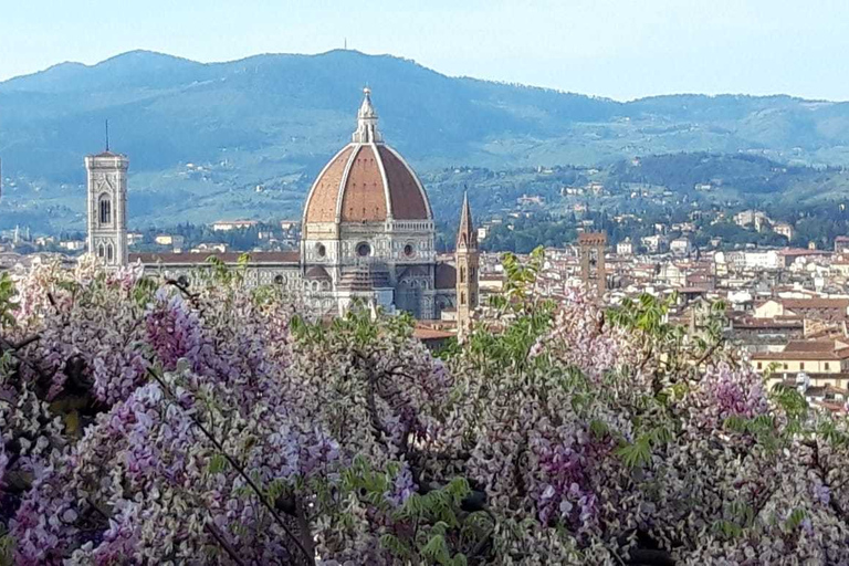 Florence: begeleide wandelingRondleiding in het Engels