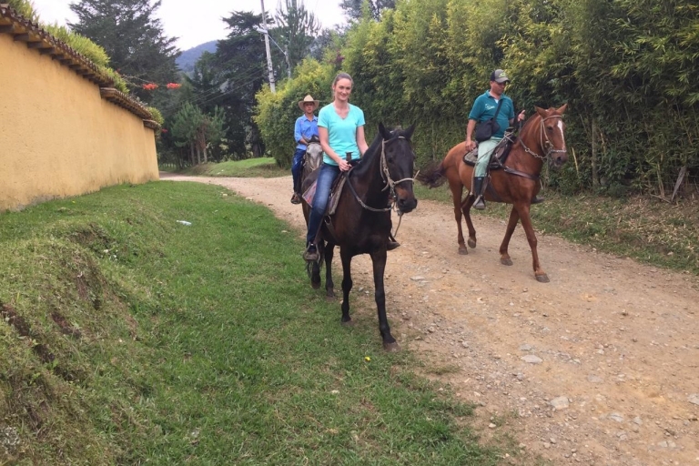 Bogota: Tocht te paard door de wildernis