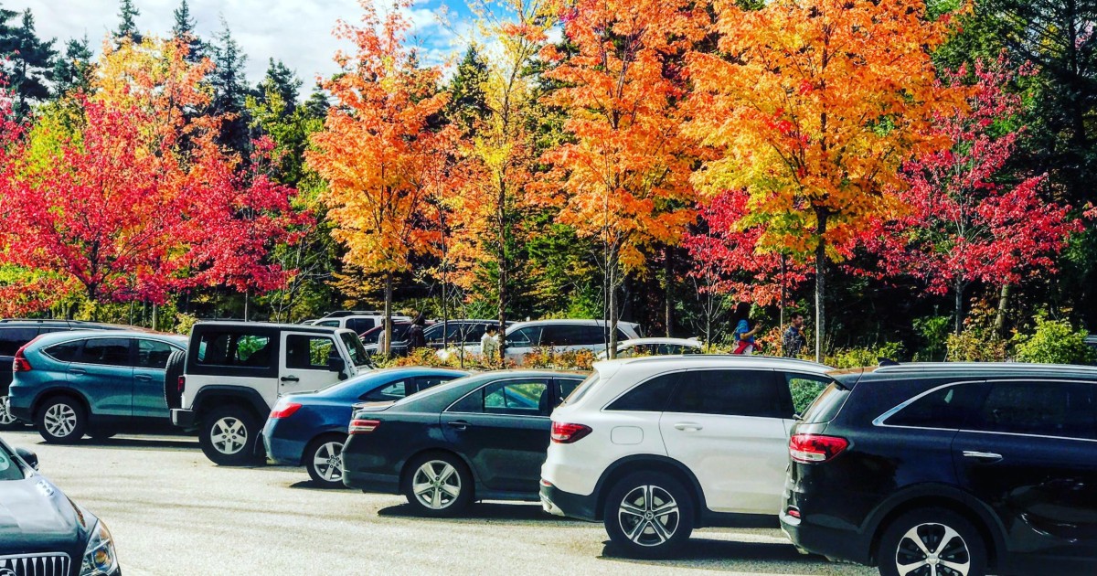 Boston: Fall Foliage Tour | GetYourGuide