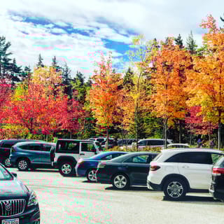 Boston: Fall Foliage Tour