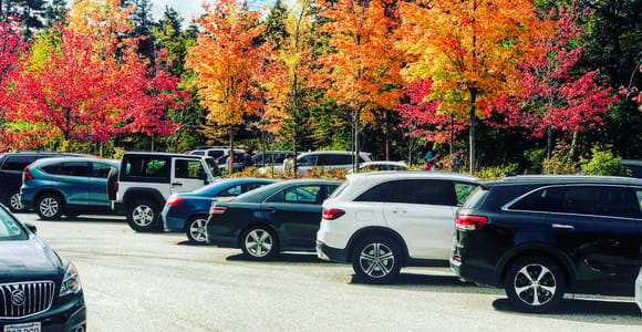 Boston: Fall Foliage Tour