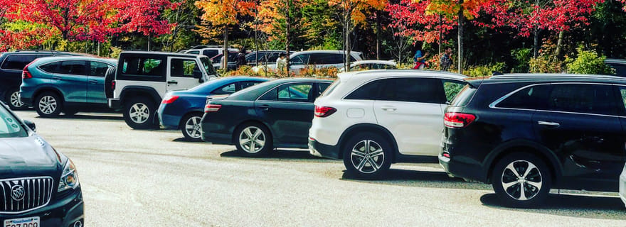 Boston: tour del fogliame autunnale