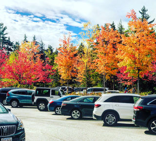 Visites du feuillage d'automne à Boston