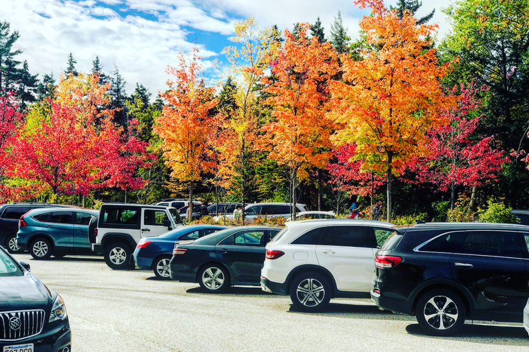 Boston : visite du feuillage d&#039;automne