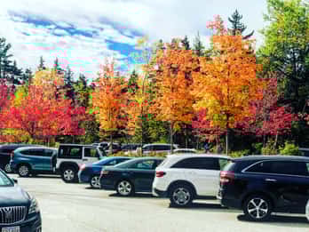Boston: Herbstlicher Ausflug Boston: Herbstlicher Ausflug