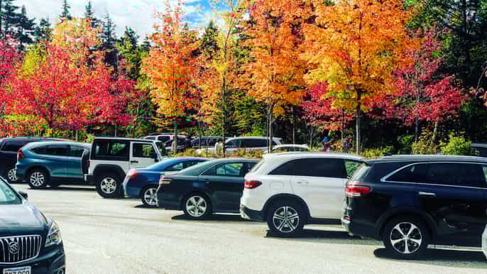 boston fall foliage tour
