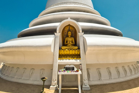 Sri Lanka: 9-Day Honeymoon Tour with Accommodation