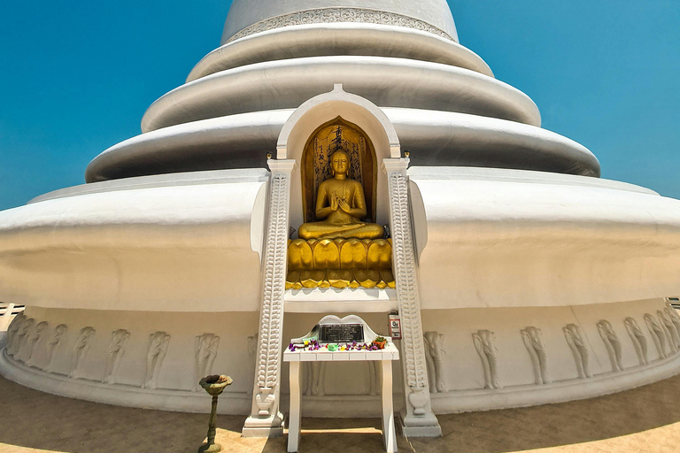 Sri Lanka: 9-Day Honeymoon Tour with Accommodation