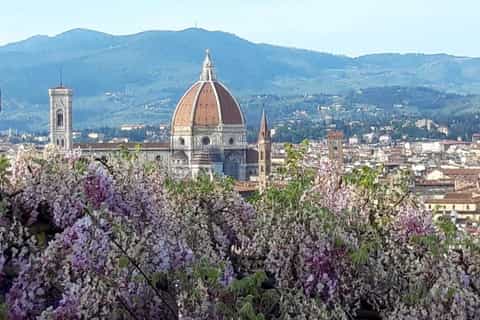 Florence: Walking Tour with Piazzale Michelangelo