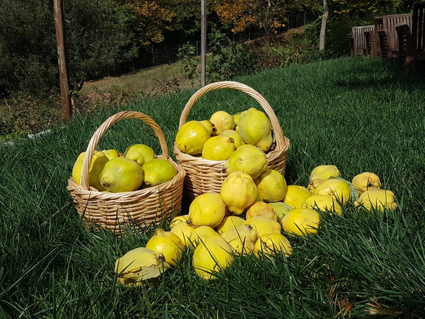 Volos, cuocere come un locale in una fattoria greca - Hizvo