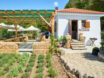 Volos: Cook Like a Local at a Greek Farm