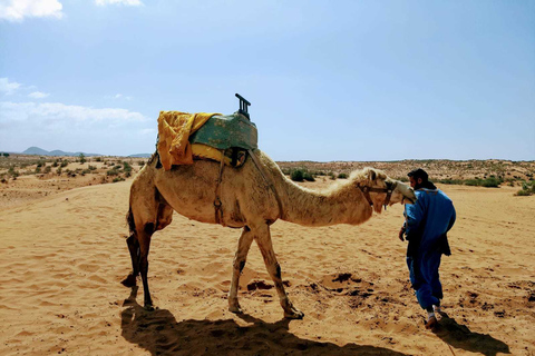 From Agadir: Sahara Desert Day Trip and Camel RidePickup From Taghazout