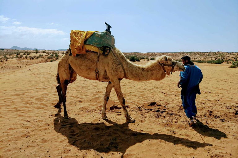 From Agadir: Sahara Desert Day Trip and Camel RideDeparture from Agadir