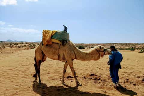 Agadir: Sahara Desert Full-Day Tour With Lunch