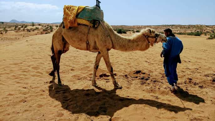 agadir sahara desert fullday tour with lunch
