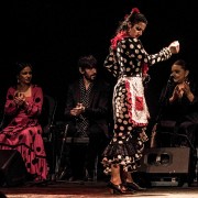 Barcelona: Flamenco-Show im Rathaus-Theater