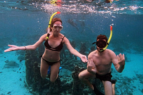 Gili Air : Snorkelen zwemmen met schildpad &amp; standbeeld