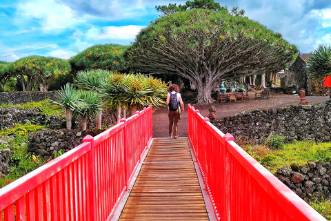 Excursión en jeep de 1 día por la isla de Pico - Azores.Excursión de 1 día en jeep por la isla de Pico - Azores