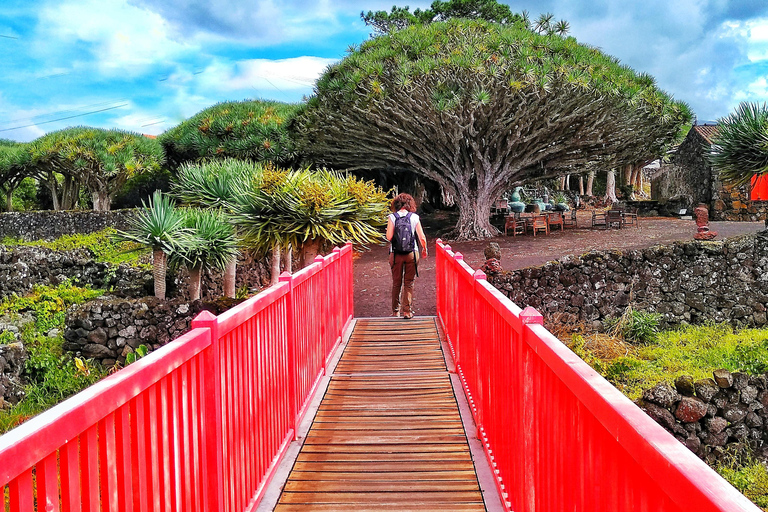 Excursión en jeep de 1 día por la isla de Pico - Azores.Excursión de 1 día en jeep por la isla de Pico - Azores