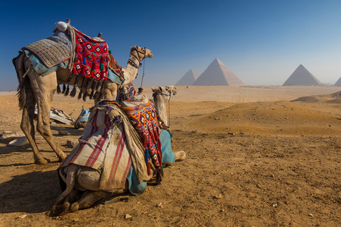 Le Caire : visite des grandes pyramides de Gizeh et du musée égyptienVisite sans billets d'entrée