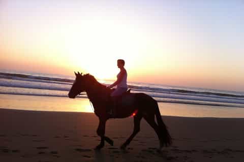 Agadir: 2-Hour Sunset Horseback Ride